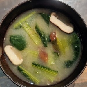 ５分！小松菜&シメジ❤おろし生姜入りの味噌汁♪